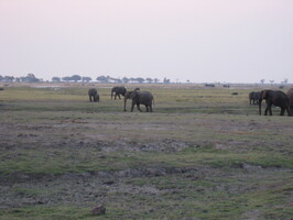 img-173