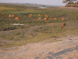 img-176