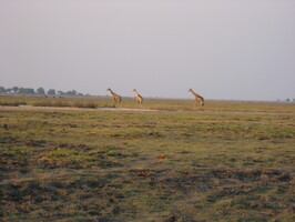 img-177