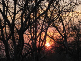 img-18