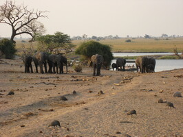 img-184