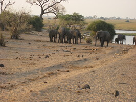 img-185