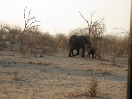 img-186
