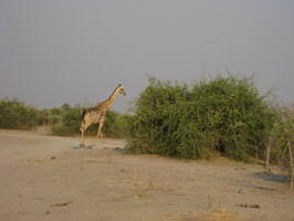img-191