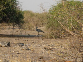 img-192