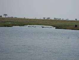 img-208