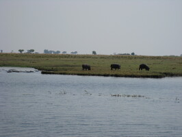 img-209
