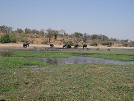 img-210