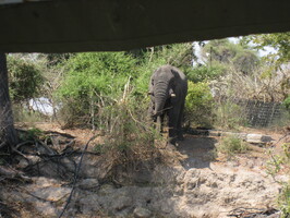 img-221
