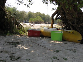 img-285