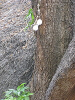 img-30