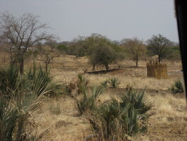 img-4